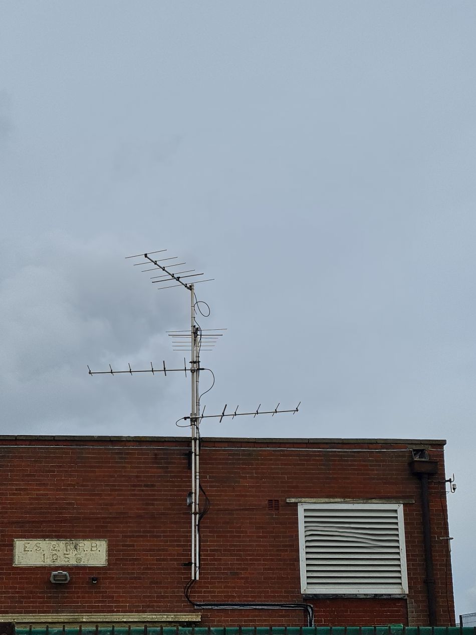 2024-03-30 23 Nathusius pipistrelle survey antennas.jpg