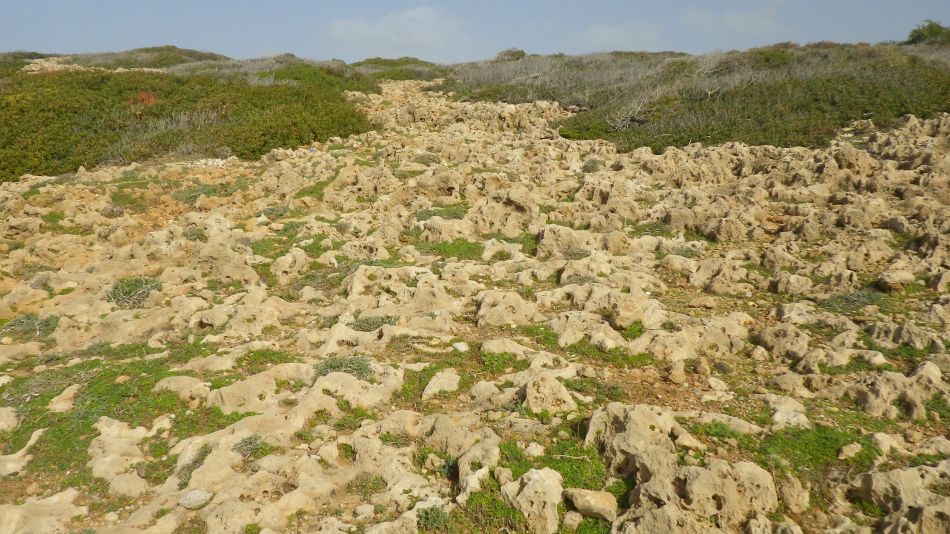 2019-01-25 17 Photos from 2019 Eroded Limestone.JPG