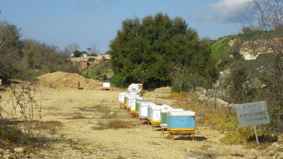 2019-02-10 03 Walk 6 Bee Hives.JPG