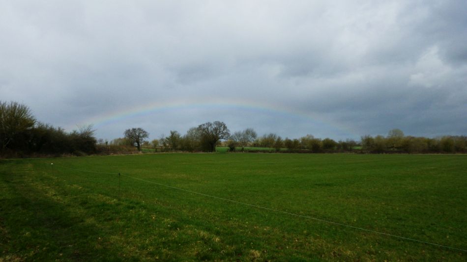 2019-03-13 09 Bramfield Rainbow.JPG