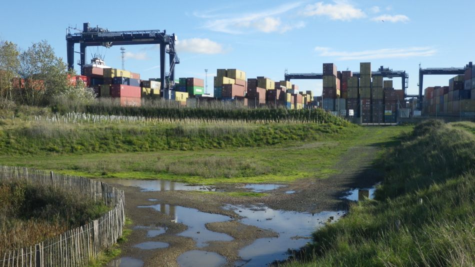 2020-09-11 08 Trimley Marshes and Felixstowe Port.jpg