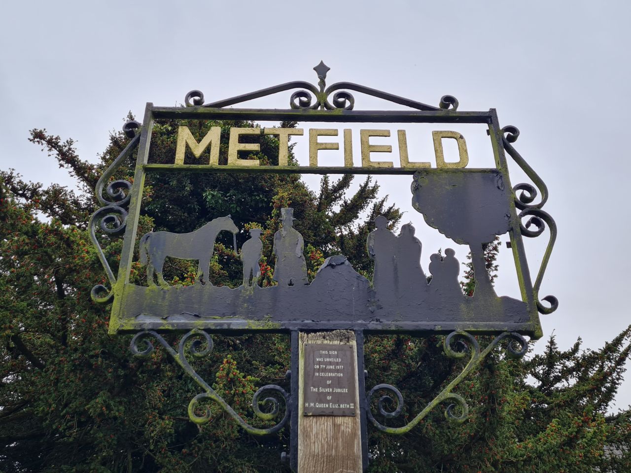 2024-10-15 12 Metfield.jpg