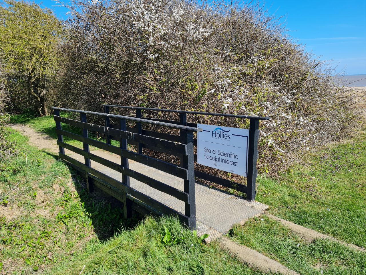2025-04-08 02 Pakefield Pontins.jpg