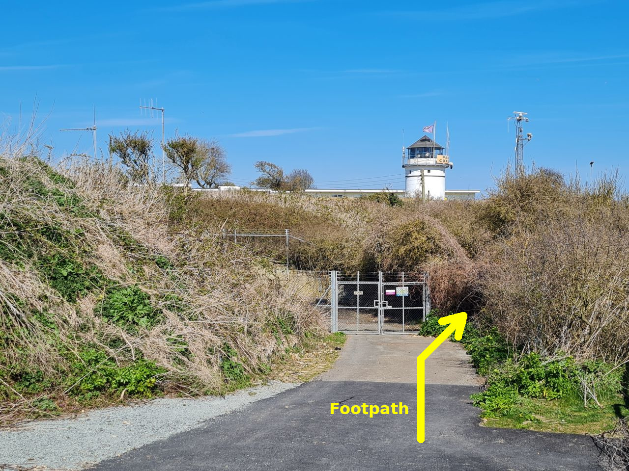 2025-04-08 05 Pakefield Coastwatch.jpg