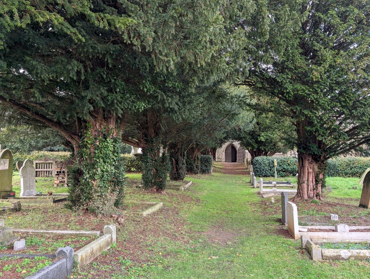 2025-11-27 05 Kessingland Saint Edmund.jpg