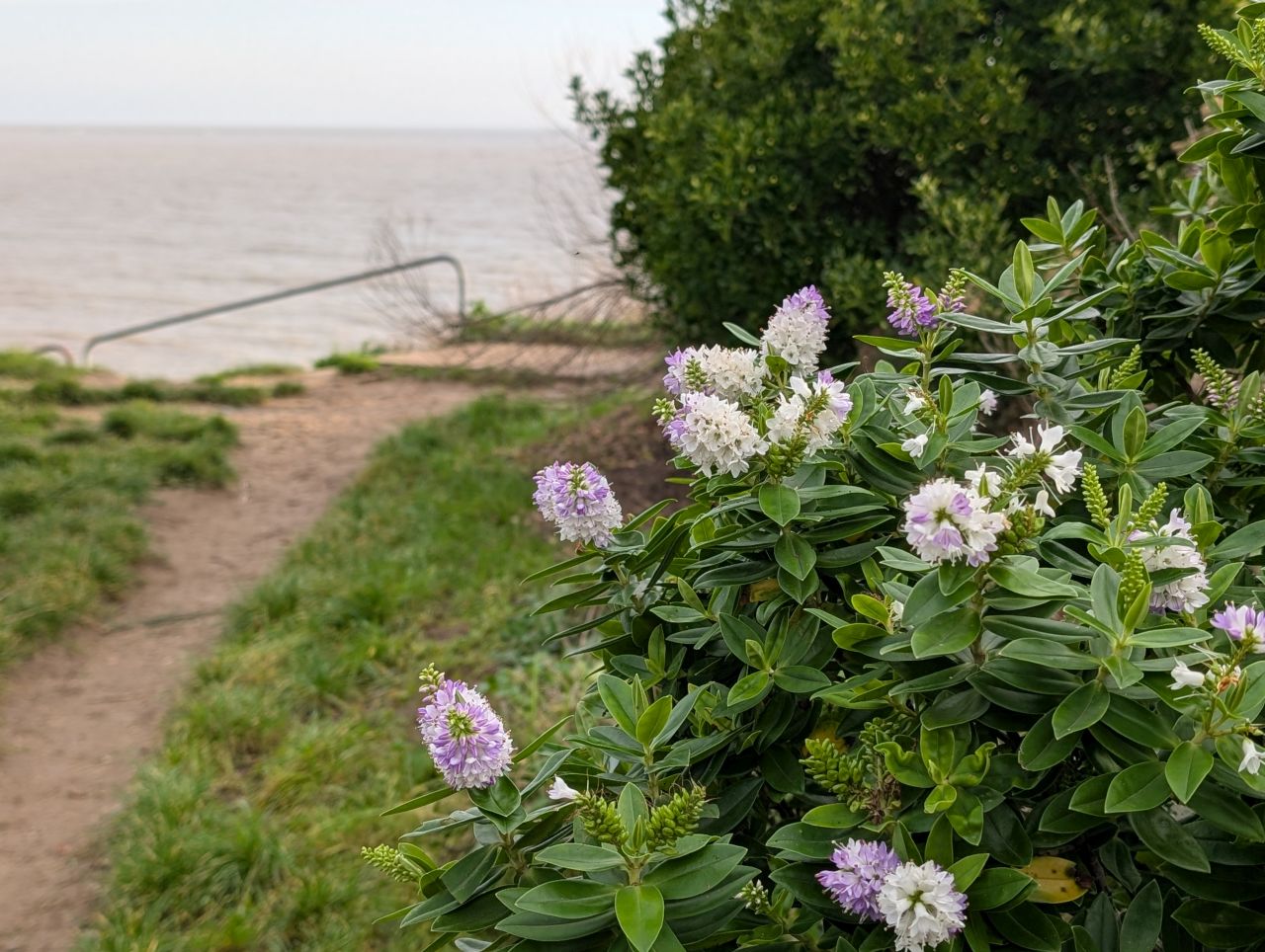 2025-12-16 03 Kessingland and Pakefield.jpg