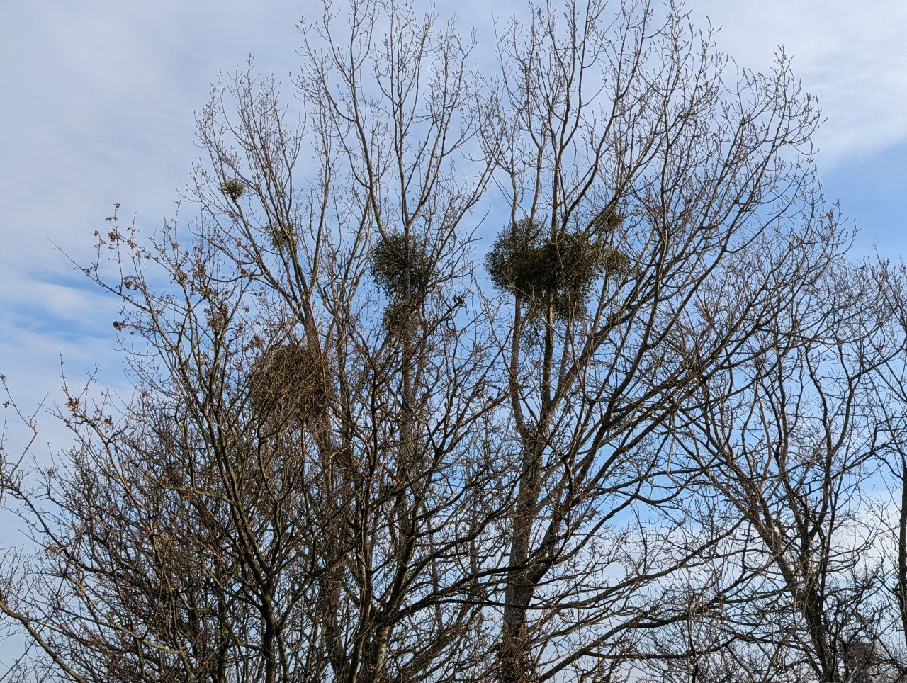 2025-12-16 06 Kessingland and Pakefield.jpg