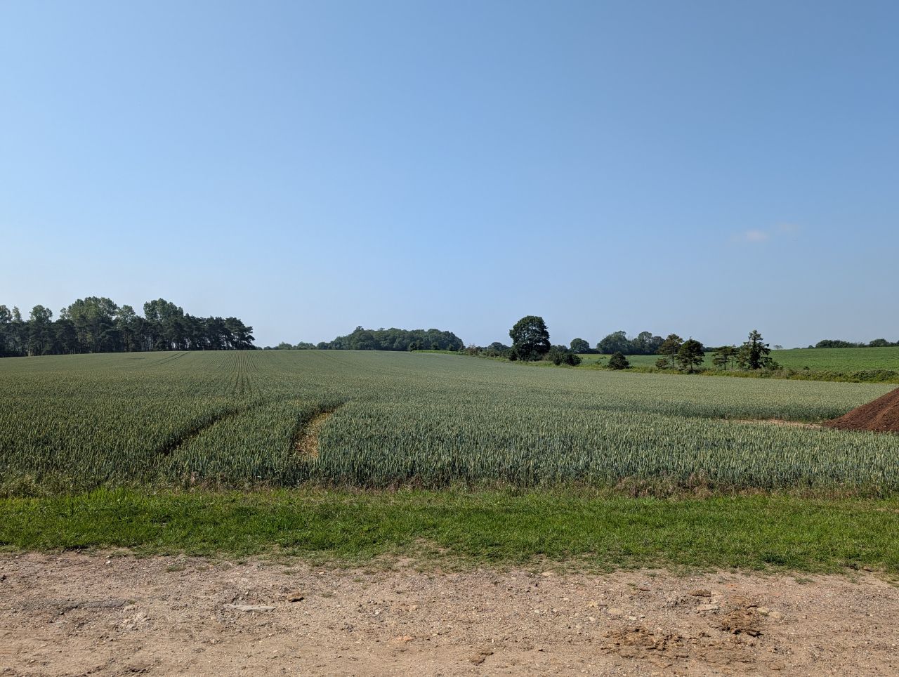 2026-06-19 02 Henstead Saint Mary.jpg