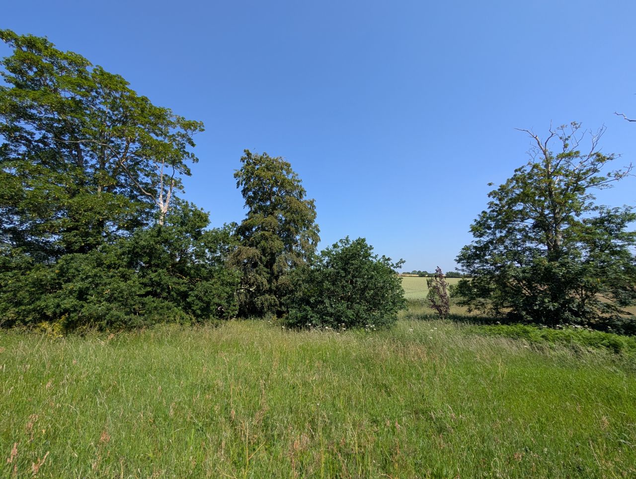 2026-06-19 17 Henstead Saint Mary.jpg
