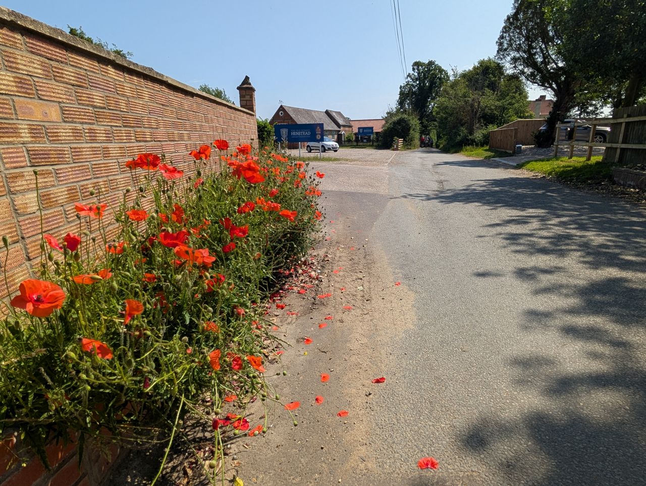 2026-06-19 23 Henstead Saint Mary.jpg