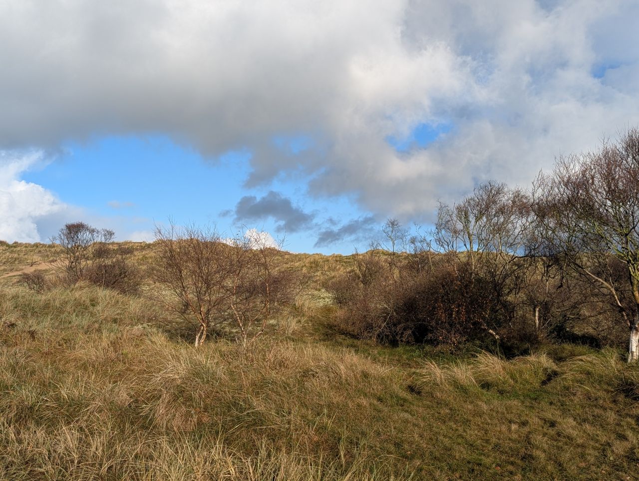 2025-11-23 19 Winterton.jpg