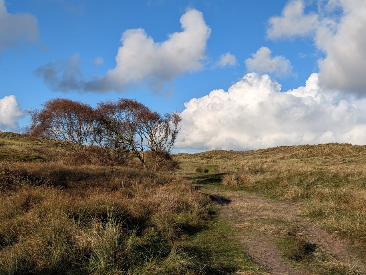 2025-11-23 20 Winterton.jpg