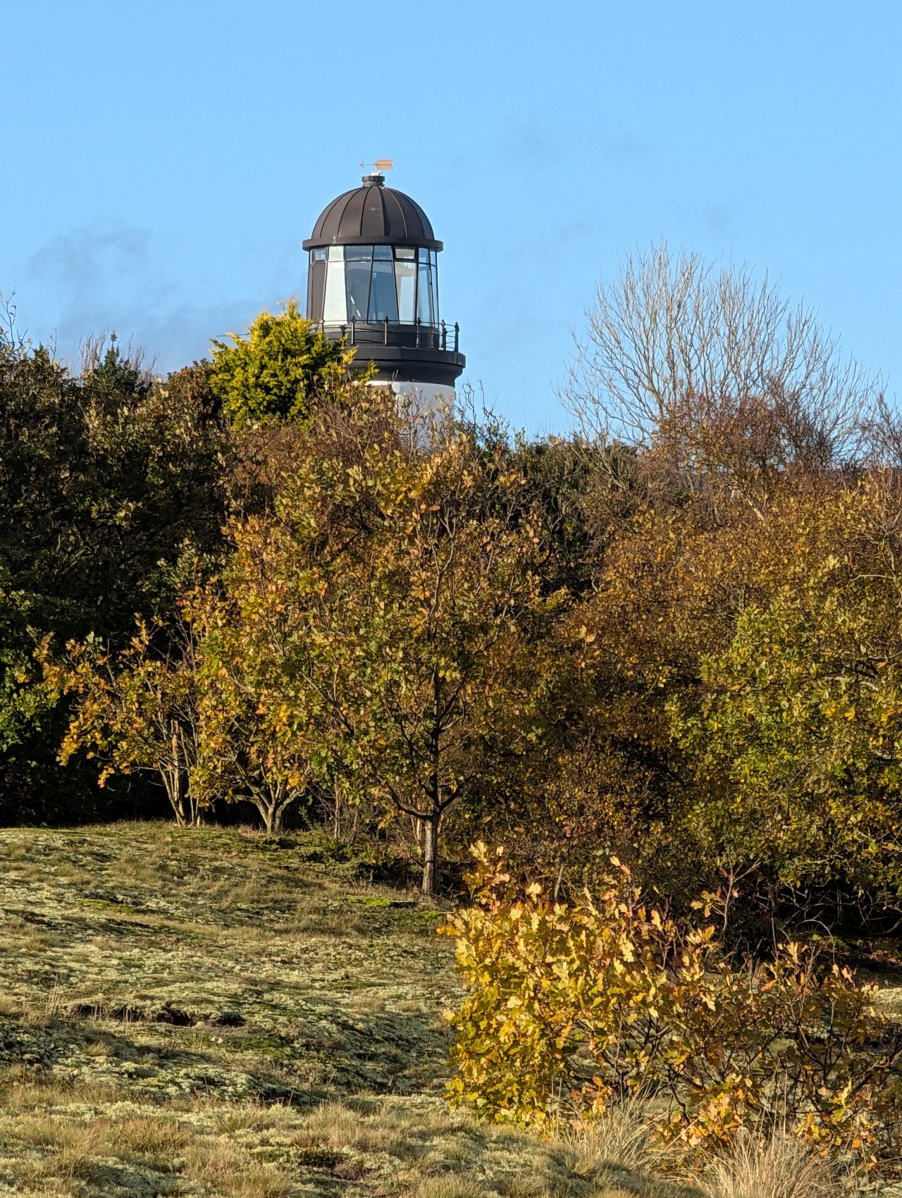 2025-11-23 21 Winterton.jpg