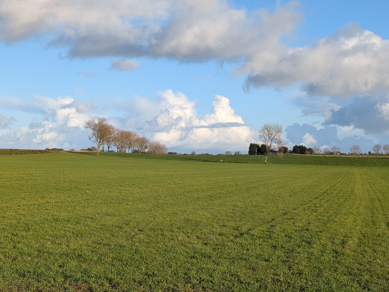 2025-11-23 24 Winterton.jpg