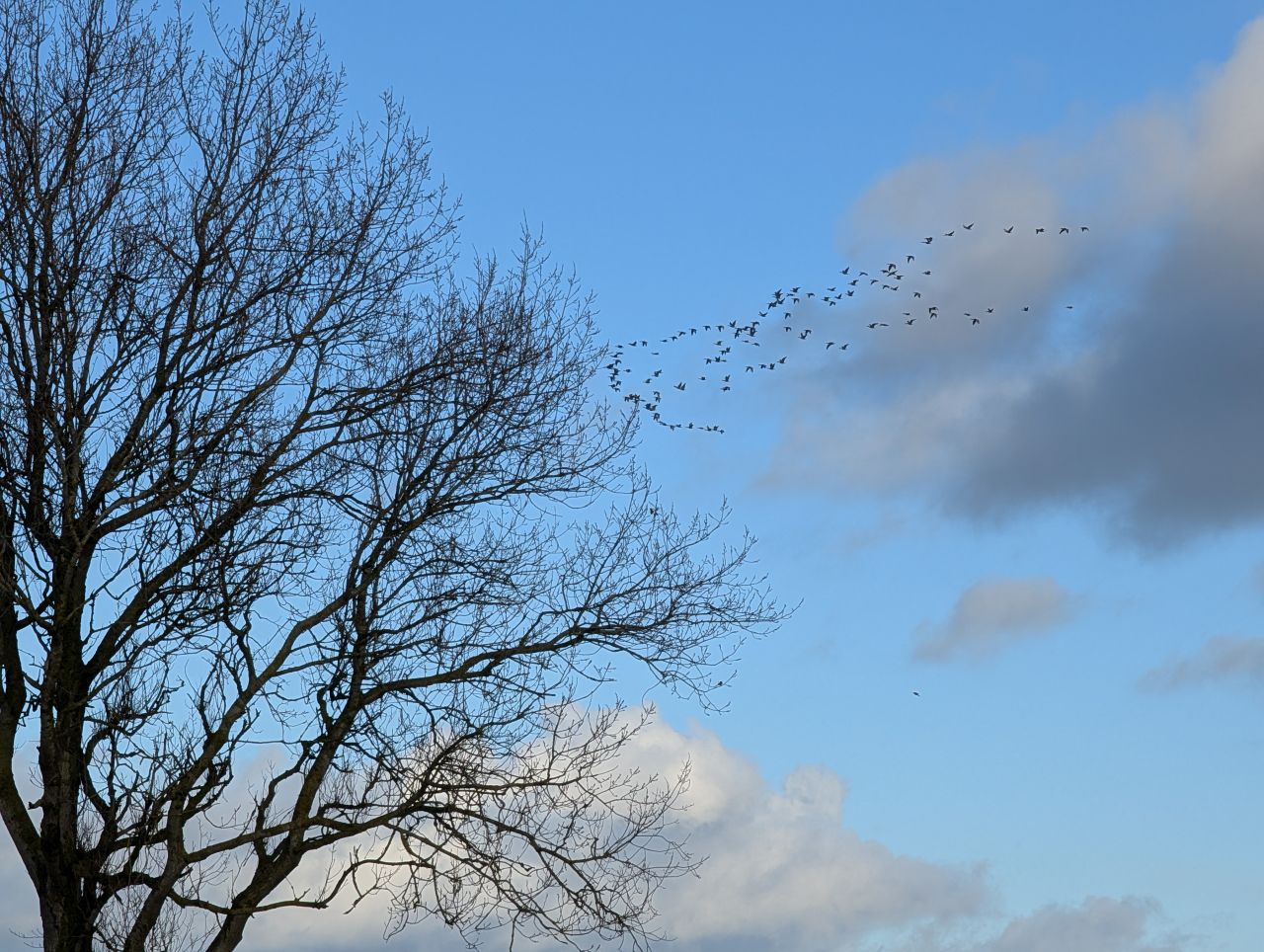 2025-11-23 25 Winterton.jpg