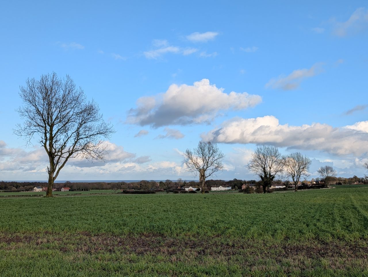 2025-11-23 27 Winterton.jpg