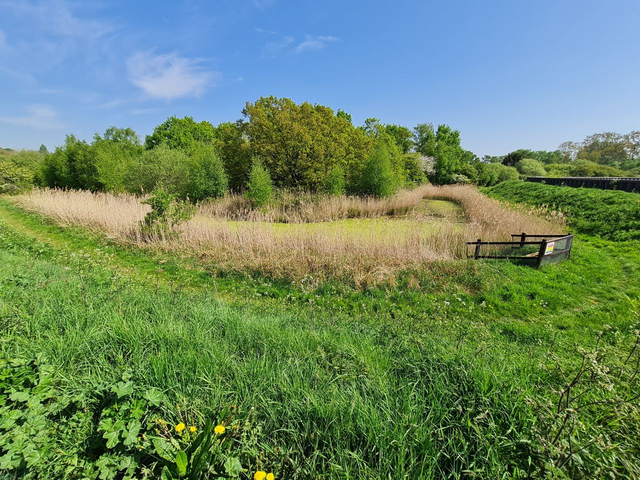 2025-05-01 17 Woodbridge to Wickham Market.jpg