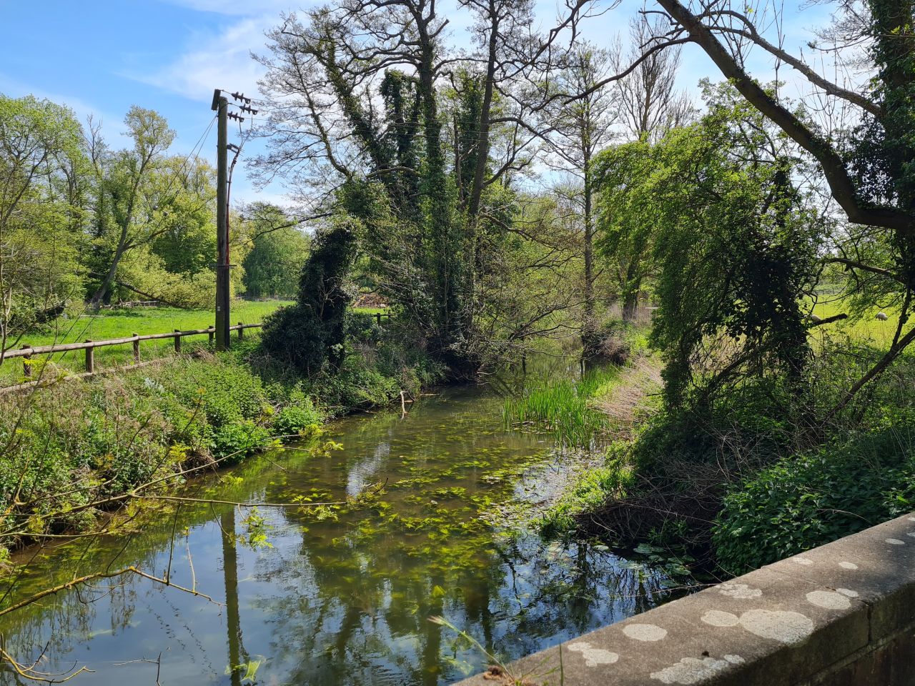 2025-05-01 34 River Deben.jpg