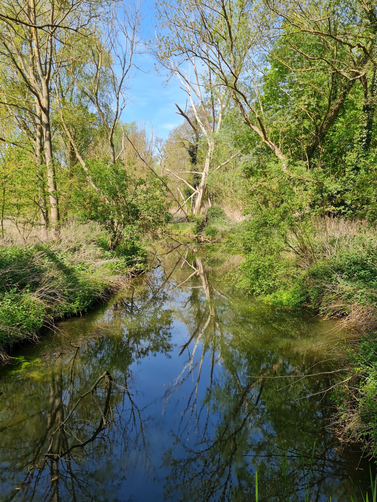 2025-05-01 35 River Deben.jpg