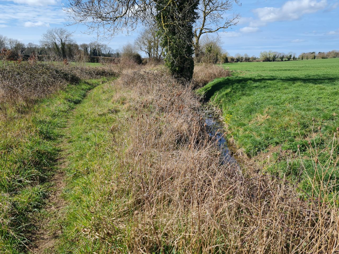 2025-03-29 04 Forncett End and Wacton.jpg