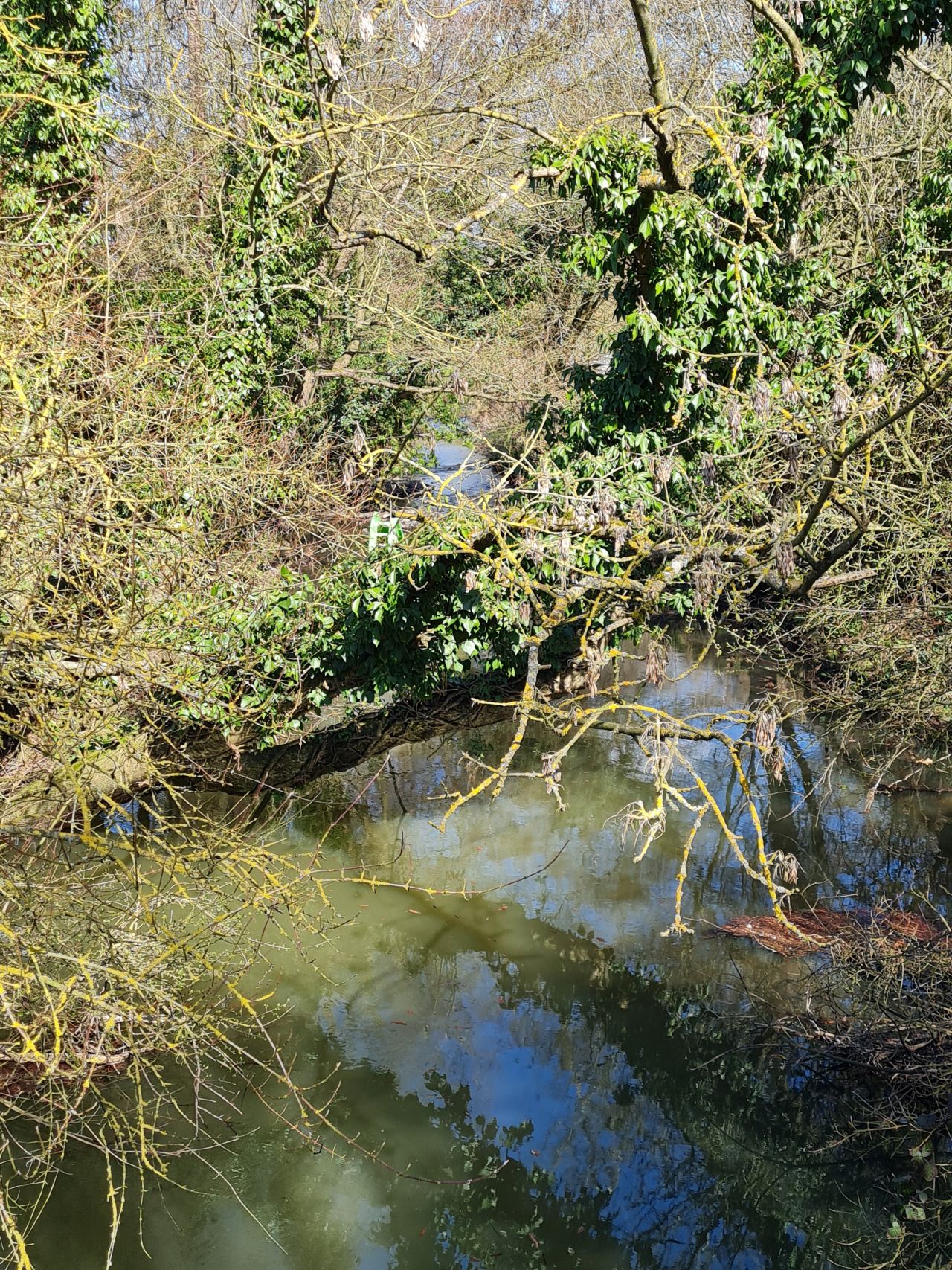 2025-03-29 09 Forncett End and Wacton.jpg