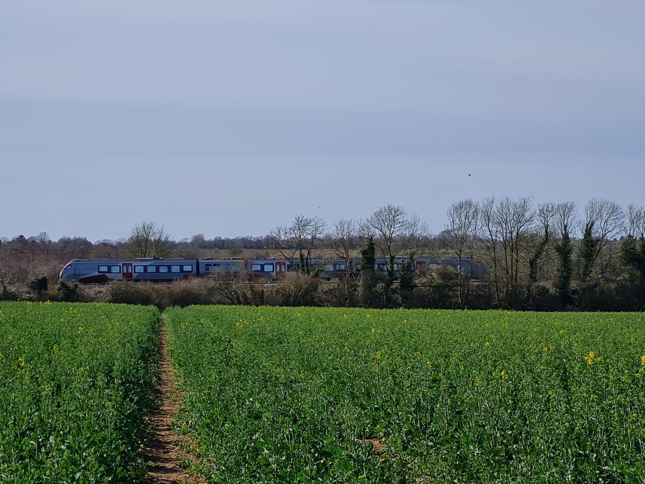 2025-03-29 15 Forncett End and Wacton.jpg