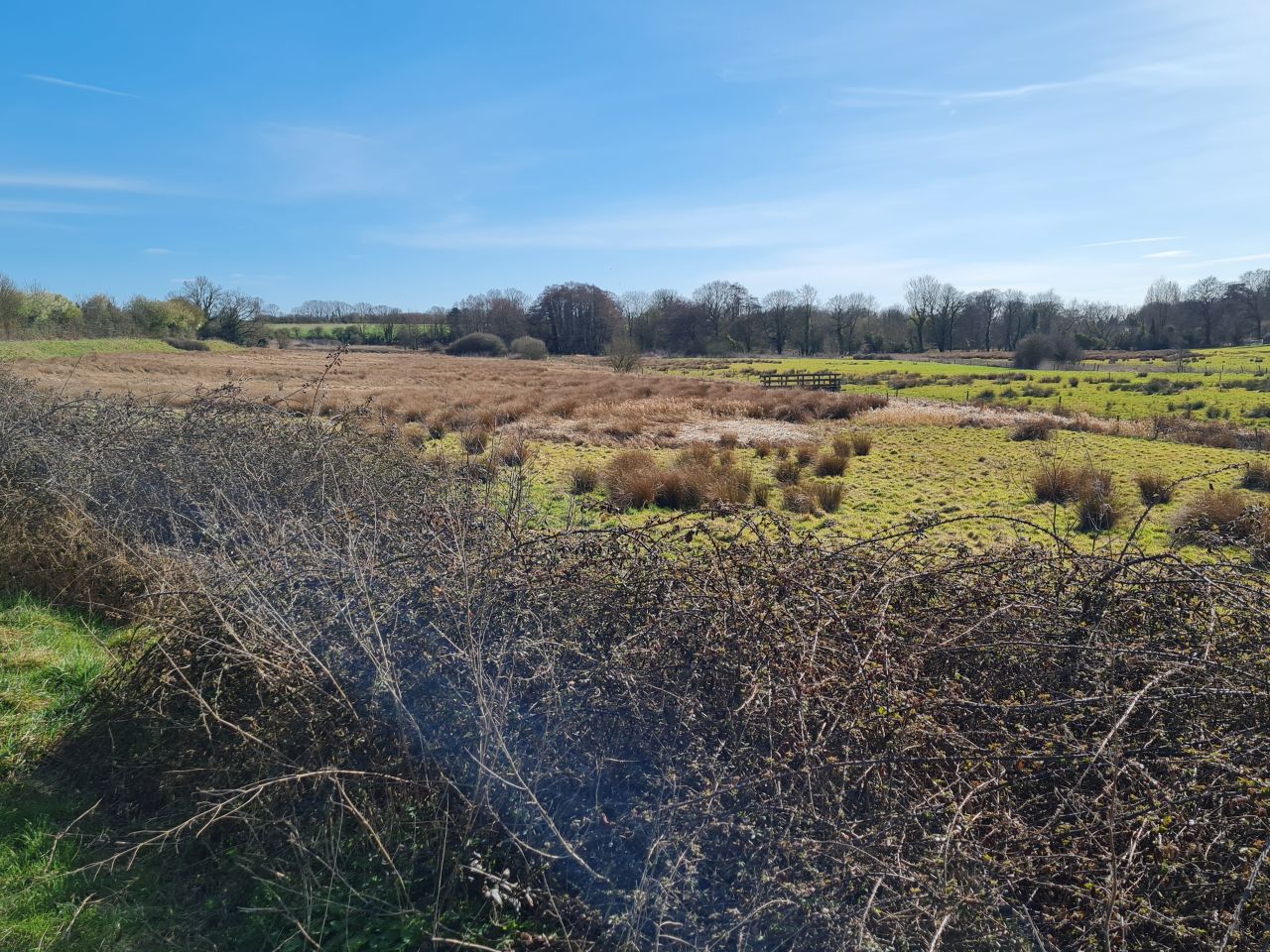 2025-03-29 17 Forncett End and Wacton.jpg