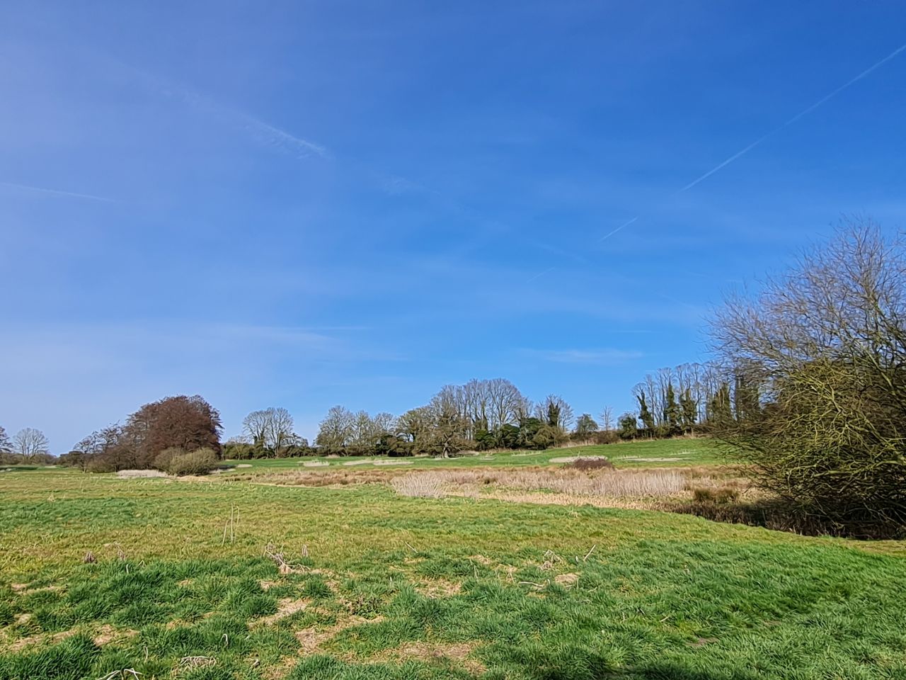 2025-03-29 18 Forncett End and Wacton.jpg