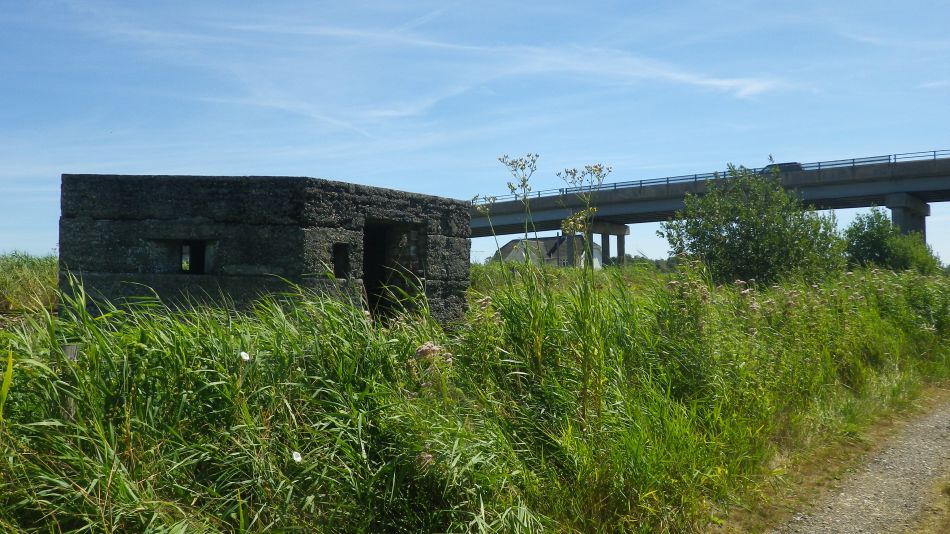 2018-08-02 04 Thurlton.jpg