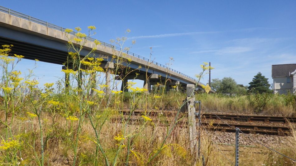 2018-08-02 06 Thurlton.jpg