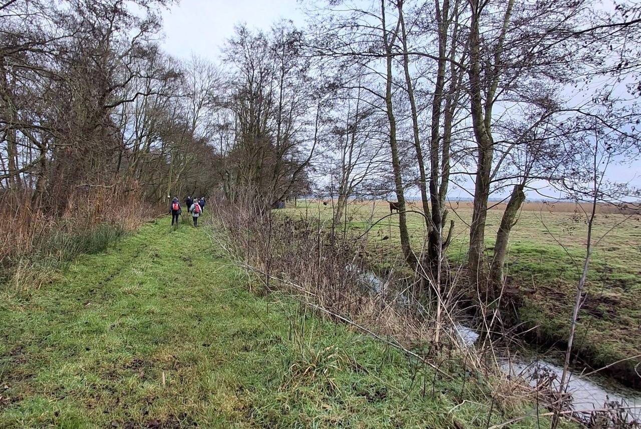 2024-12-29 06 Haddiscoe Thurlton Thorpe Marshes.jpg