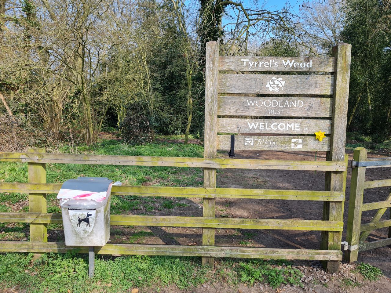 2025-03-24 01 Tyrrels Wood.jpg