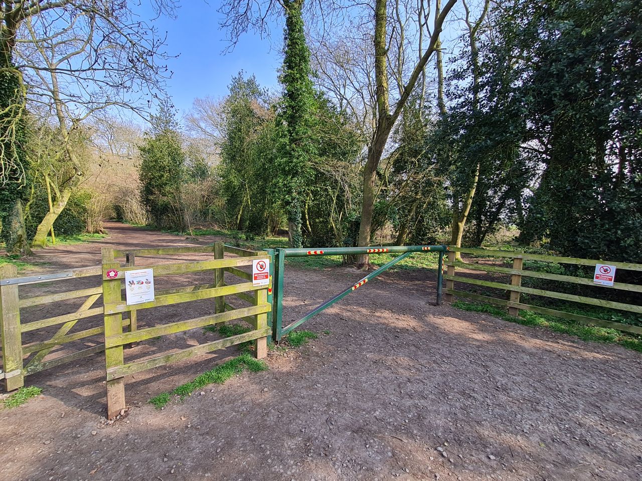 2025-03-24 02 Tyrrels Wood.jpg