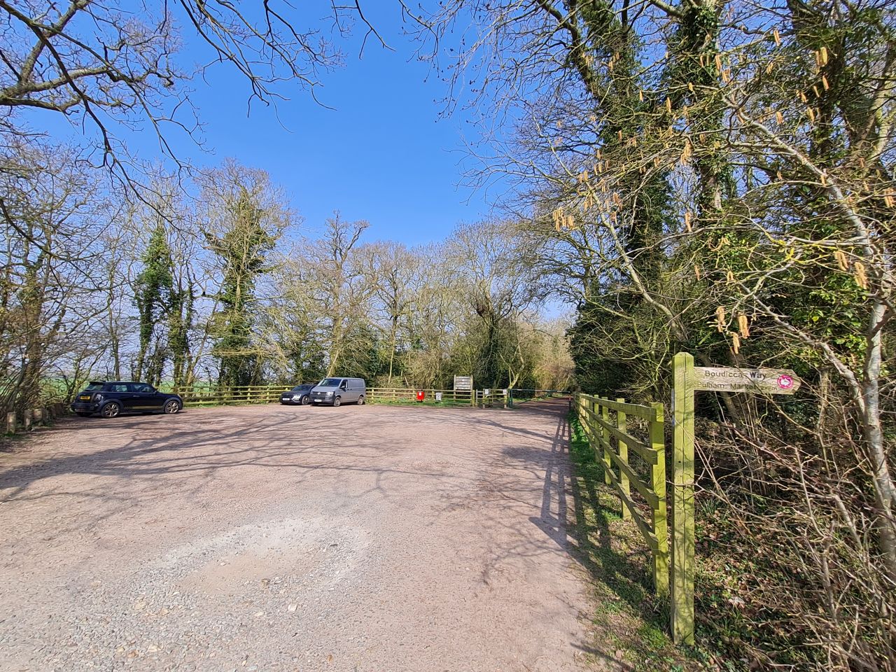 2025-03-24 03 Tyrrels Wood.jpg