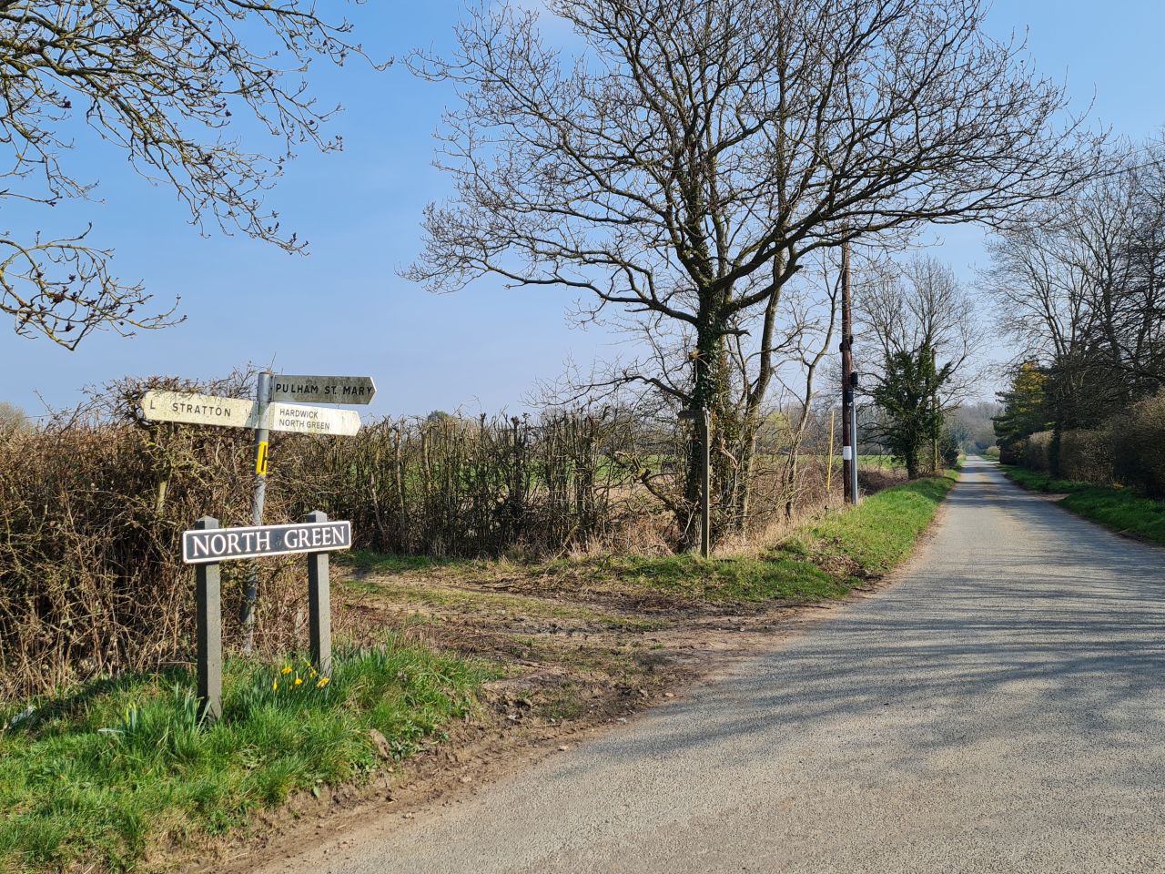 2025-03-24 04 Tyrrels Wood.jpg