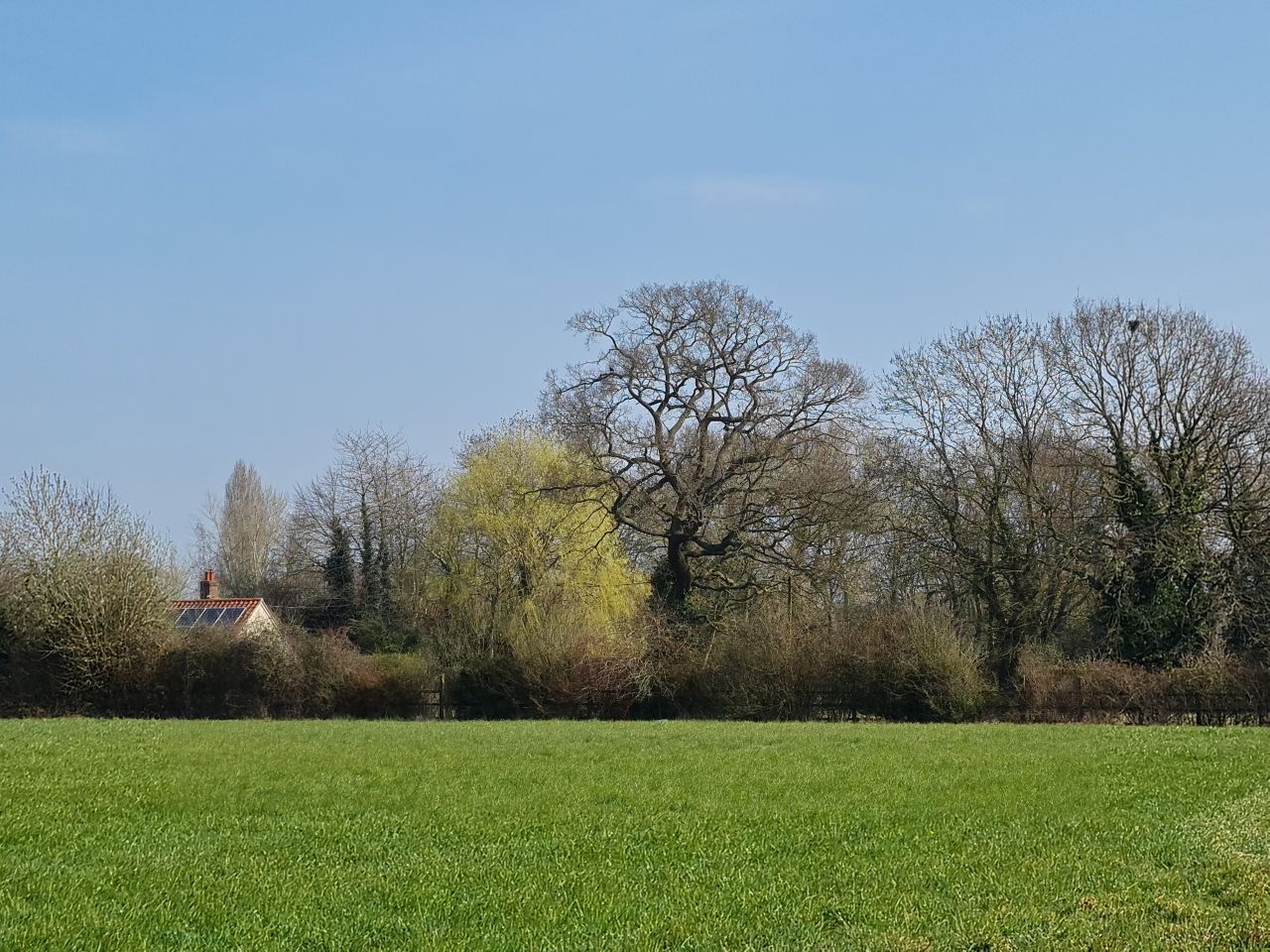 2025-03-24 05 Pulham Market.jpg