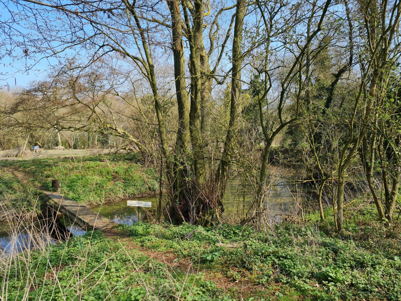 2025-03-24 10 Moat.jpg