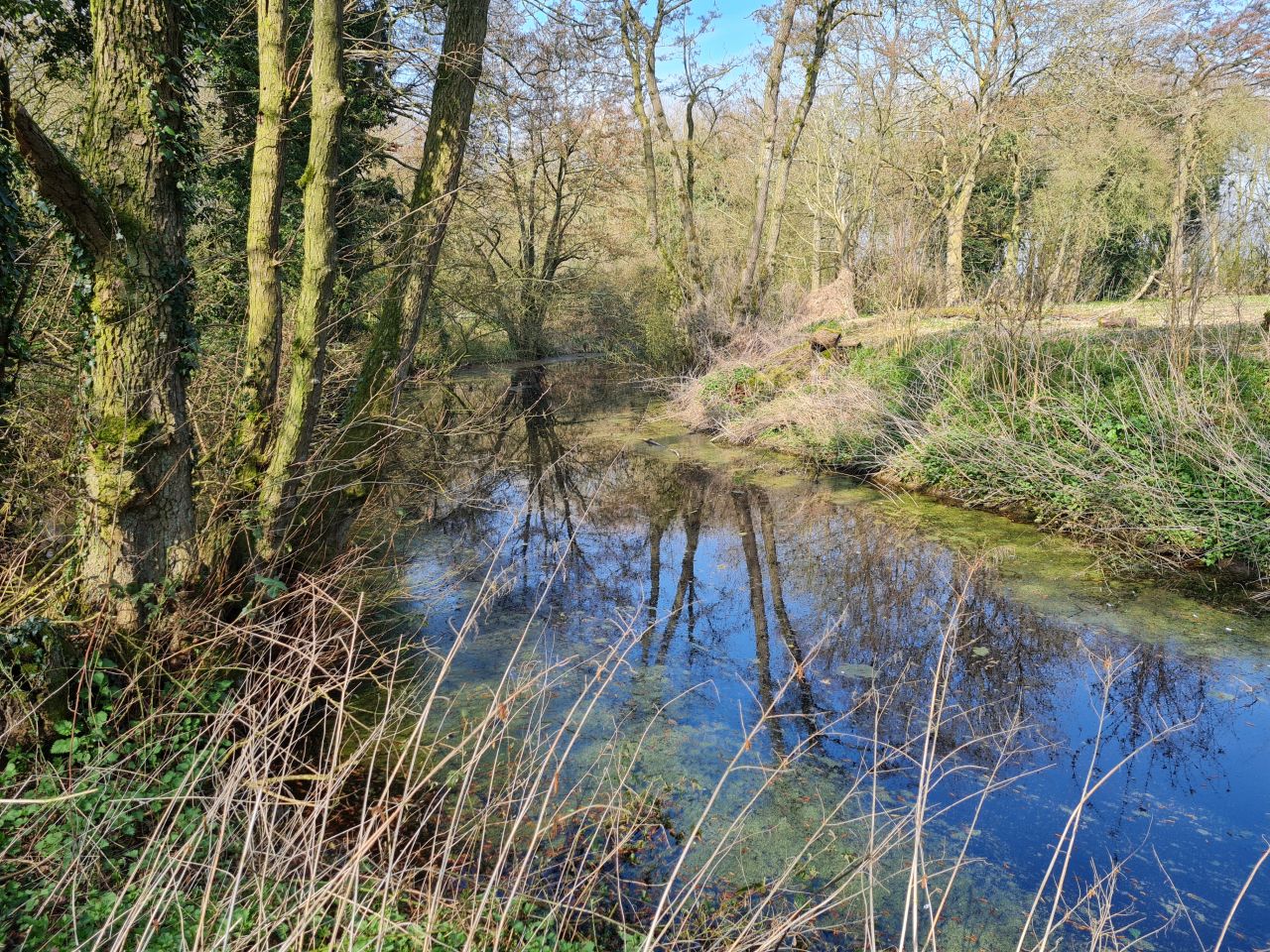 2025-03-24 11 Moat.jpg