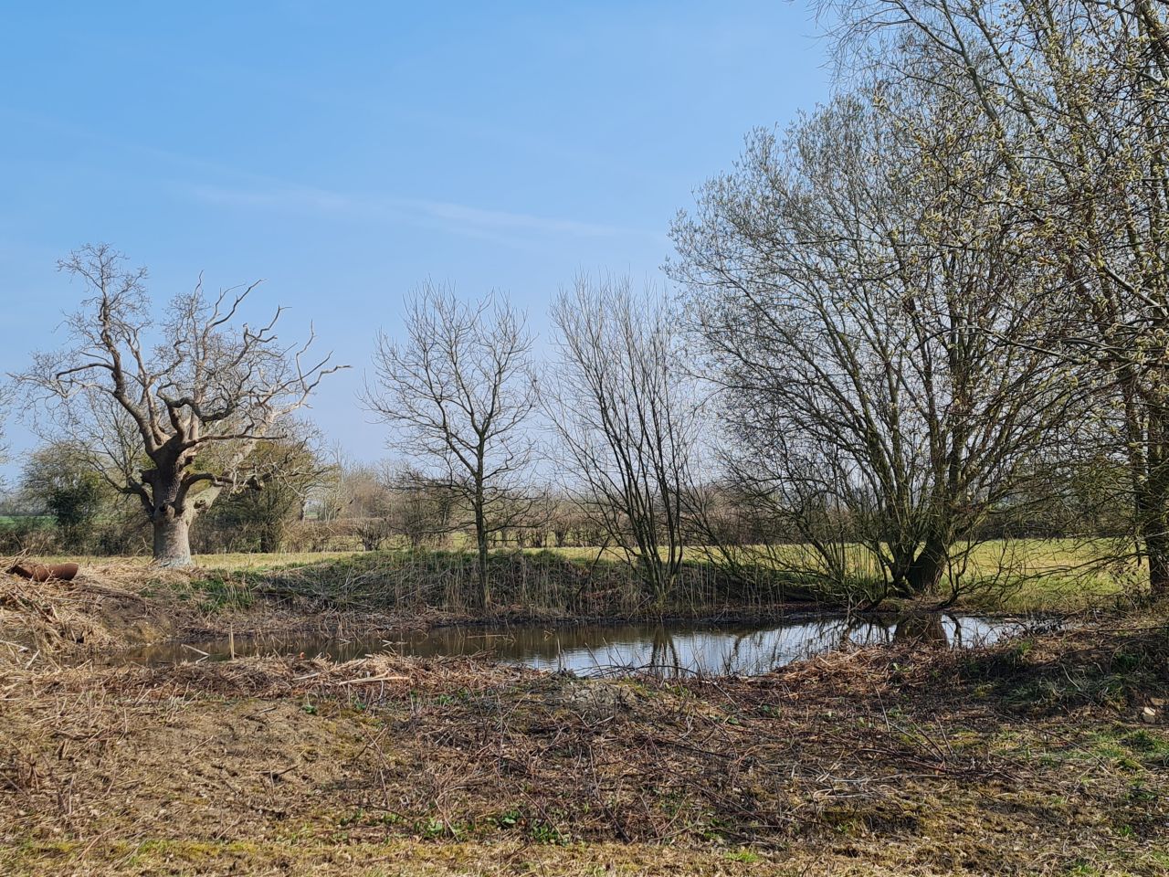 2025-03-24 14 Pulham Market.jpg