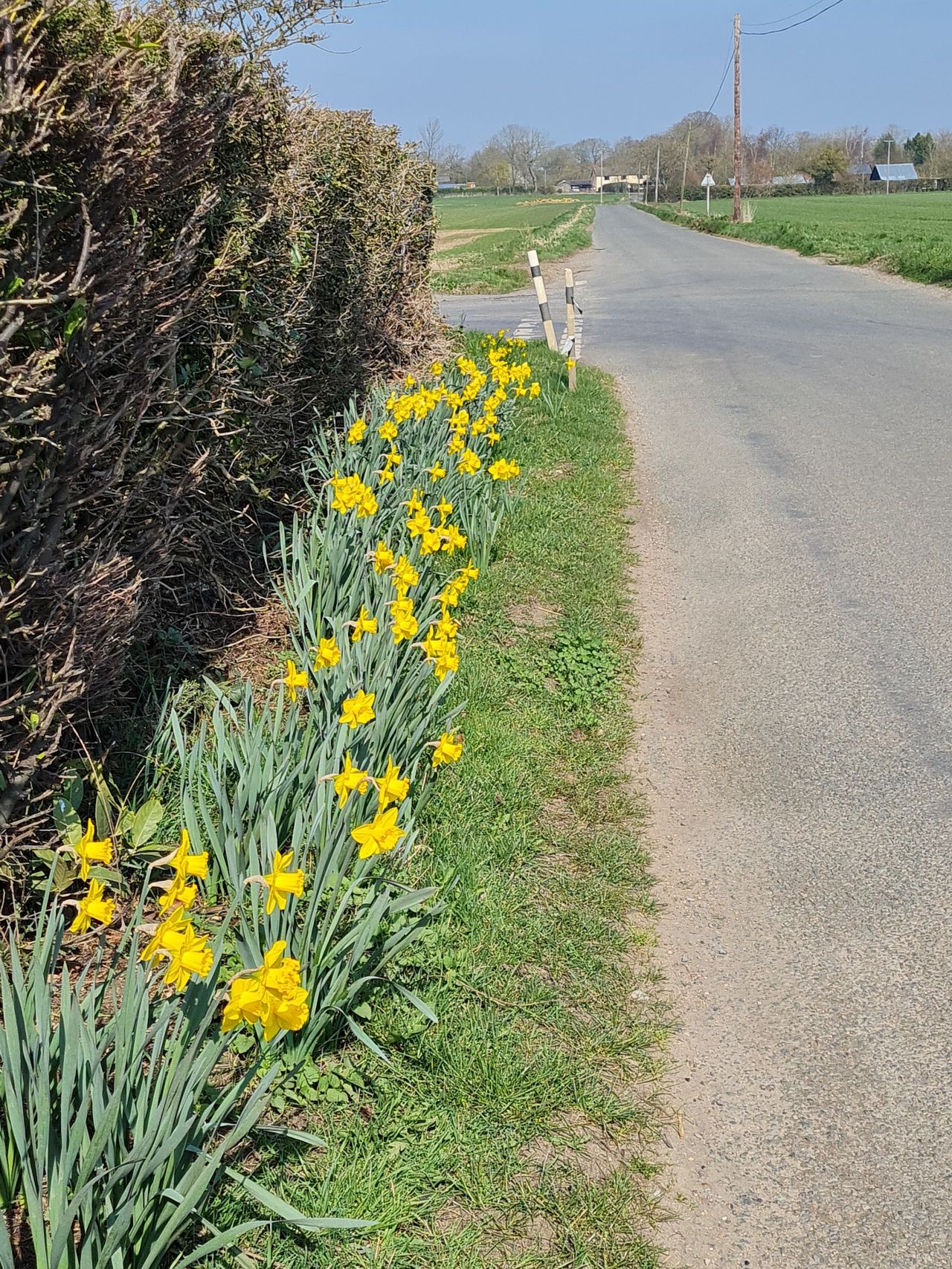 2025-03-24 16 Pulham Market.jpg