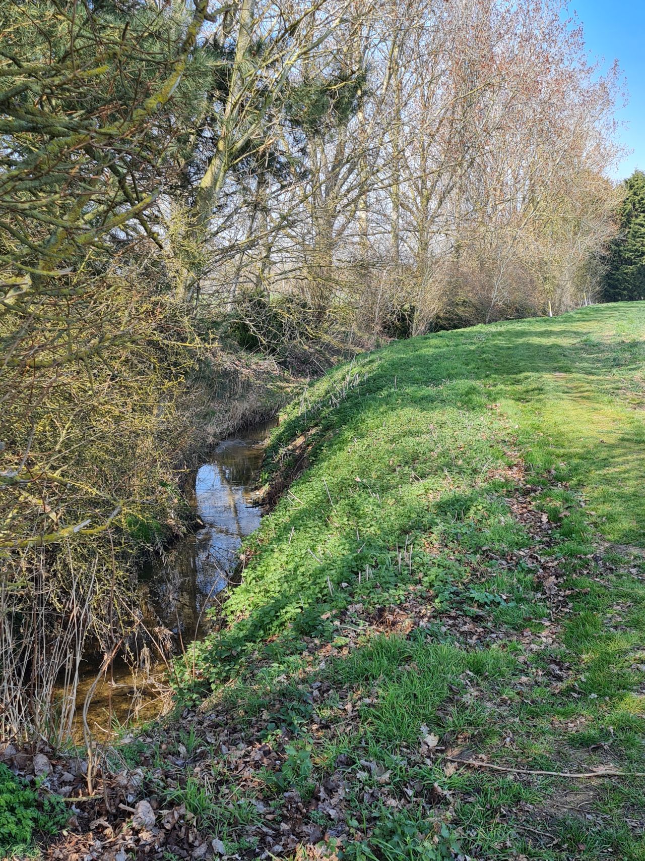 2025-03-24 19 Pulham Beck.jpg