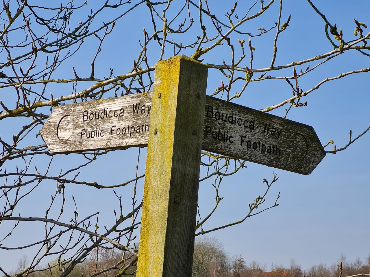 2025-03-24 22 Boudicca Way.jpg