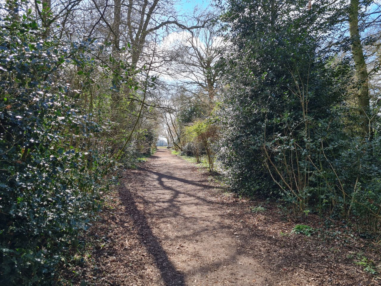 2025-03-26 01 Wacton.jpg