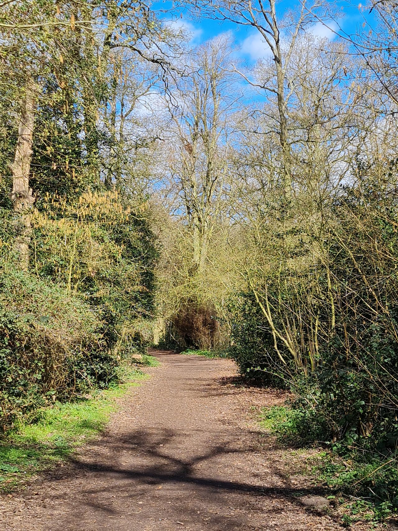 2025-03-26 02 Wacton.jpg