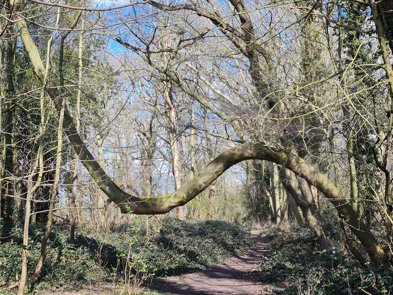 2025-03-26 03 Wacton.jpg