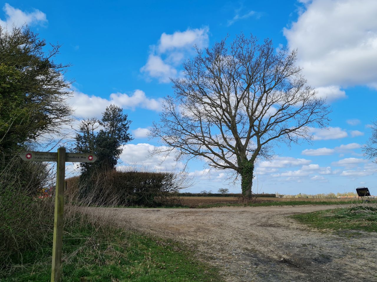 2025-03-26 04 Wacton.jpg