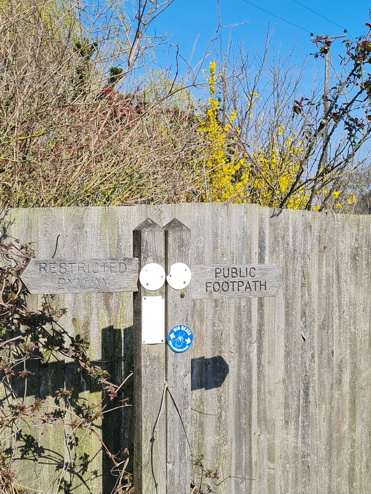 2025-03-27 14 Wacton.jpg