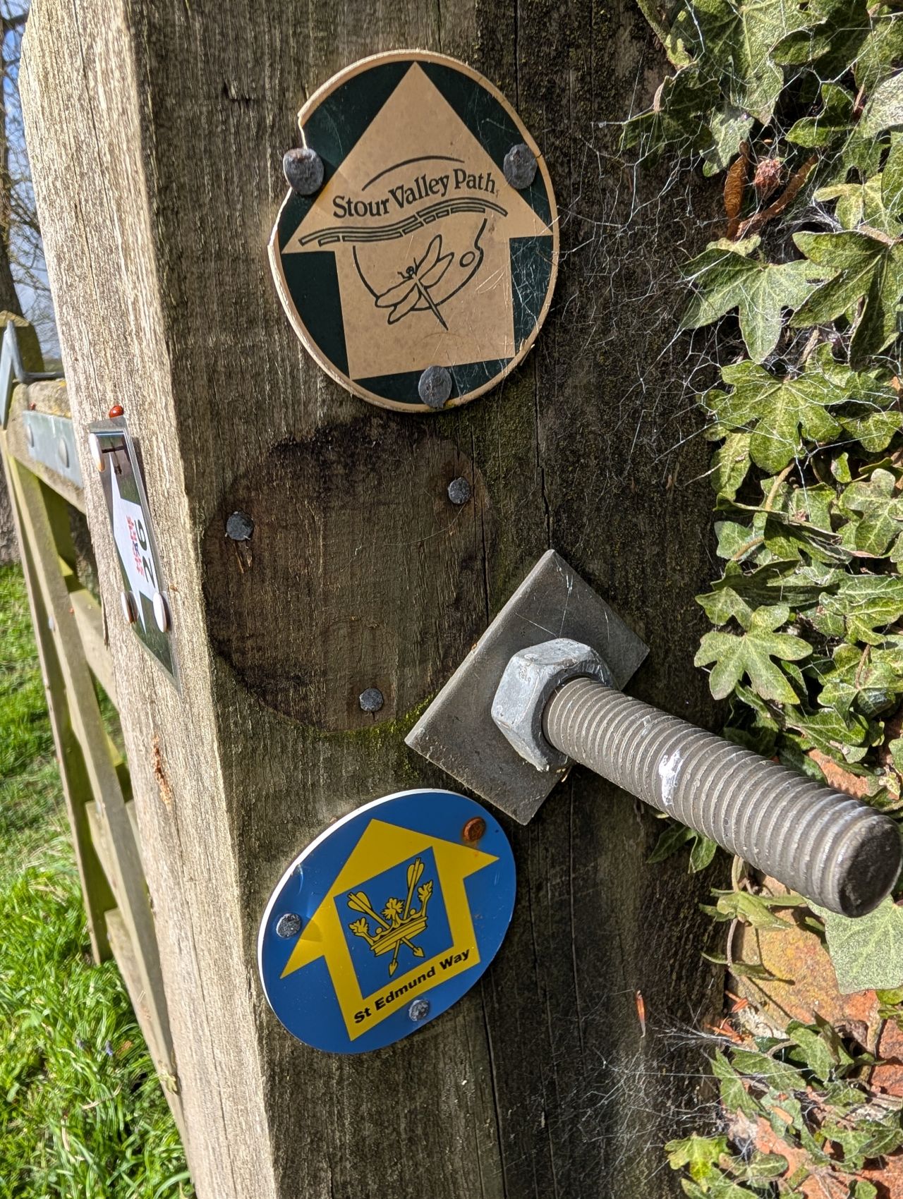 2026-03-04 17 Long Melford to Glemsford.jpg