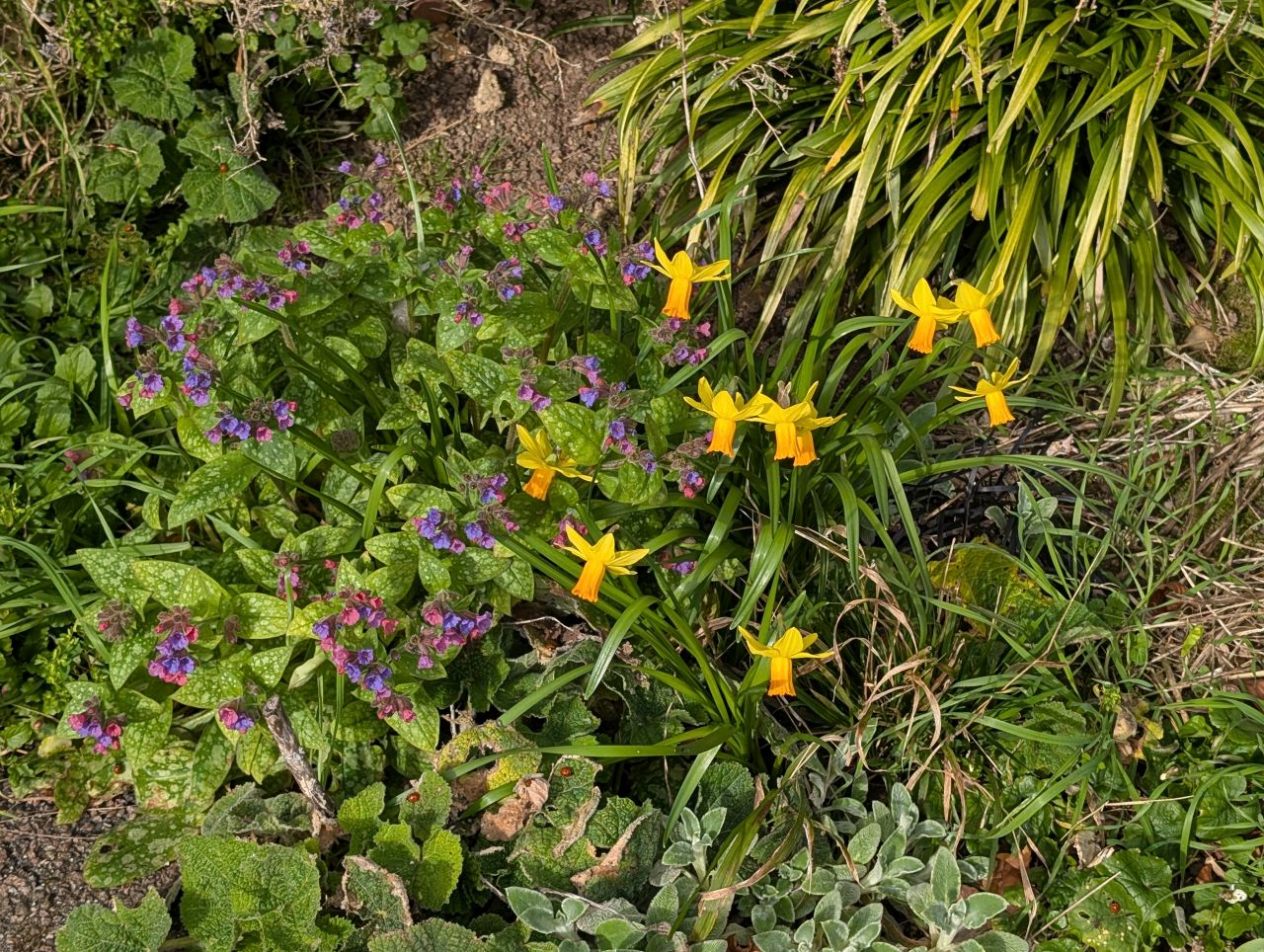 2026-03-04 39 Long Melford to Glemsford.jpg