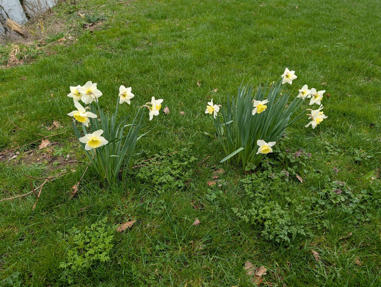 2026-03-04 53 Long Melford to Glemsford.jpg